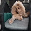 Bett für Fahrradanhänger Thule Bexey Dog Bed L