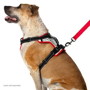 Canicross-Gurt Nathan  K9 Dog Harness