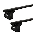 Dachträger Thule mit SquareBar Dodge Caravan/Grand Caravan 5-T MPV T-Profil 06-07