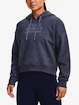 Damen Hoodie Under Armour  Essential Script Hoodie-GRY