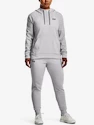 Damen Hoodie Under Armour  Fleece LC Hoodie-GRY