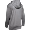 Damen Hoodie Under Armour  Synthetic Fleece Chenille Logo PO Hooodie grey