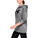 Damen Hoodie Under Armour  Synthetic Fleece Chenille Logo PO Hooodie grey