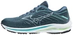 Damen Laufschuhe Mizuno  Wave Rider 25 Quarry