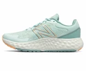 Damen Laufschuhe New Balance Fresh Foam EVOZ v1