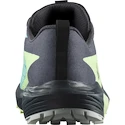 Damen Laufschuhe Salomon Sense Ride 5 Gtx Blue Radiance / Green Ash / India Ink