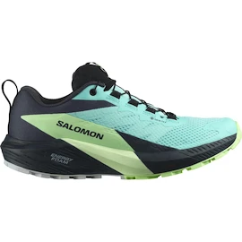 Damen Laufschuhe Salomon Sense Ride 5 Gtx Blue Radiance / Green Ash / India Ink