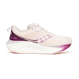 Damen Laufschuhe Saucony Triumph 22 Moon/Eggplant