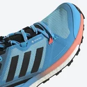 Damen-Outdoorschuhe adidas  Terrex Skychaser 2 GTX W Blue