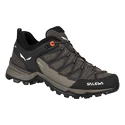 Damen-Outdoorschuhe Salewa  WS MTN Trainer Lite GTX