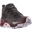 Damen-Outdoorschuhe Salomon  CROSS HIKE GTX 2 W