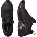 Damen-Outdoorschuhe Salomon  CROSS HIKE GTX 2 W