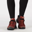 Damen-Outdoorschuhe Salomon  X ULTRA 4 GTX W