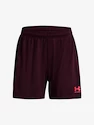 Damen Shorts Under Armour  W's Ch. Knit Short-MRN