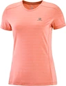 Damen T-Shirt Salomon  XA Tee W Brick Dust