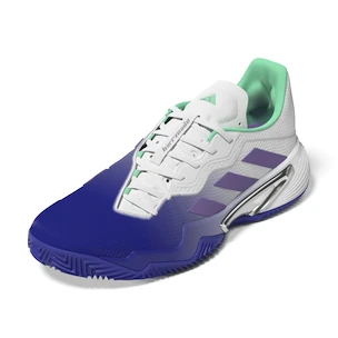 Damen Tennisschuhe adidas Barricade W Clay Blue/Violet