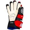 Eishockeyhandschuhe Warrior Covert QR6 Team Black/Red Junior