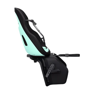 Fahrrad Kindersitz Thule Yepp Nexxt 2 Maxi RM mint