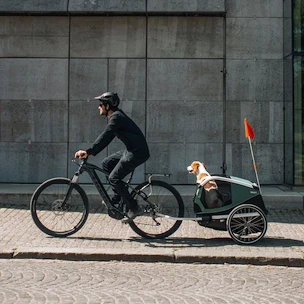 Fahrradanhänger für Hunde Thule Bexey Hazy Green L