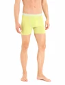 Herren Boxer Shorts Icebreaker  Anatomica Ether/Shine