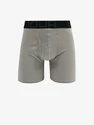 Herren Boxer Shorts Under Armour