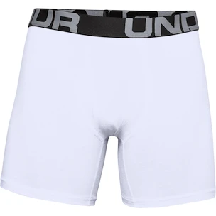 Herren Boxer Shorts Under Armour  Charged Cotton 6" 3 Pack white Dynamic  XS