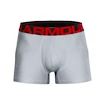 Herren Boxer Shorts Under Armour  Tech 3" 2 Pack grey  L