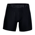 Herren Boxer Shorts Under Armour  Tech 6" 2 Pack black Dynamic