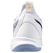 Herren Hallenschuhe Mizuno  Wave DIMENSION White/Bellwether Blue