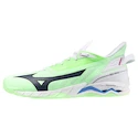 Herren Hallenschuhe Mizuno  Wave MIRAGE 5 Neo Mint/Black