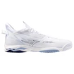 Herren Hallenschuhe Mizuno  Wave MIRAGE 5 White/Bellwether Blue