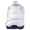 Herren Hallenschuhe Mizuno  Wave STEALTH 6 White/Bellwether Blue