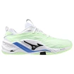 Herren Hallenschuhe Mizuno  Wave STEALTH NEO 2 Neo Mint/Black