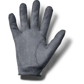 Herren Handschuhe Under Armour Storm Golf Gloves grey