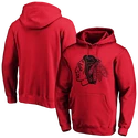 Herren Hoodie adidas  Mono Core Graphic NHL Chicago Blackhawks SR