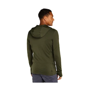 Herren Hoodie Icebreaker Merino 260 Quantum IV LS Zip Hoodie Loden