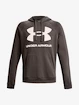 Herren Hoodie Under Armour  Rival Fleece Big Logo HD-BRN