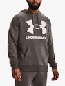 Herren Hoodie Under Armour  Rival Fleece Big Logo HD-BRN