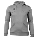 Herren Hoodie Warrior Alpha X Aspire Hoody Gray 3XL