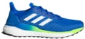 Herren Laufschuhe adidas Solar Boost