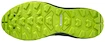 Herren Laufschuhe Mizuno  Wave Daichi Wave Daichi 6 / Green Gables / Lime Green / Obsidian