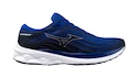 Herren Laufschuhe Mizuno  Wave Skyrise 5 Surf the Web/White/India Ink