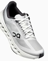 Herren Laufschuhe On Cloudsurfer Next Glacier/White