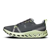 Herren Laufschuhe On Cloudsurfer Trail Iron/Lima