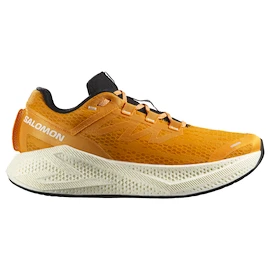 Herren Laufschuhe Salomon Aero Glide 3 Turmeric/White/Black