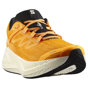 Herren Laufschuhe Salomon Aero Glide 3 Turmeric/White/Black