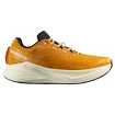 Herren Laufschuhe Salomon Aero Glide 3 Turmeric/White/Black   UK 10