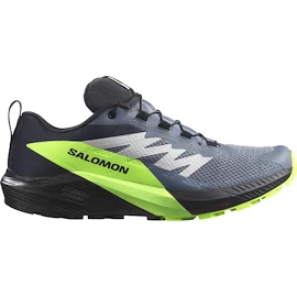 Herren Laufschuhe Salomon GTX Flint/Black/Grgeck