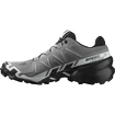 Herren Laufschuhe Salomon Speedcross Speedcross 6 Quiet Shade