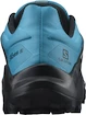 Herren Laufschuhe Salomon  Wildcross 2 GTX Barrier Reef